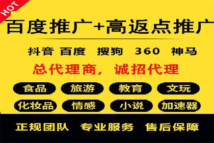 电商平台信息流广告的投放策略与效果评估案例